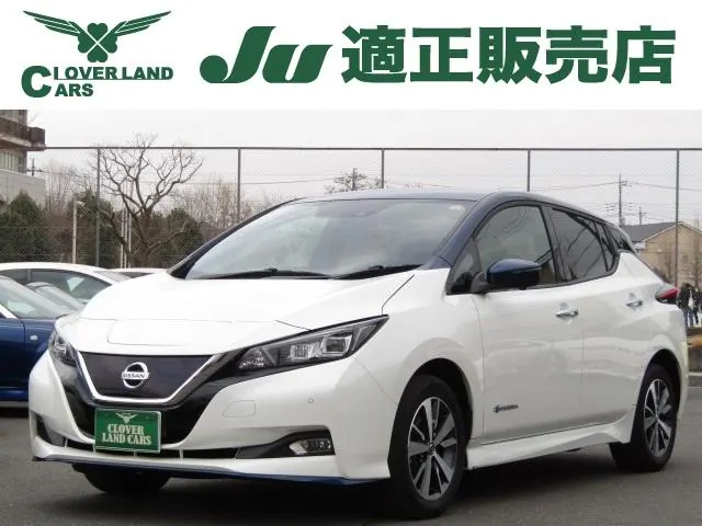Nissan Leaf 2019 из Японии