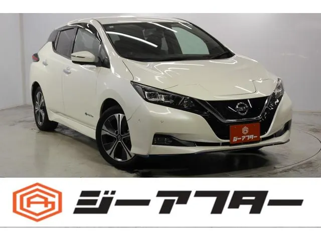 Nissan Leaf 2020 из Японии