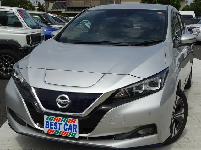 Nissan Leaf 2019 из Японии
